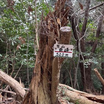 ピークゲット⛰️
芳山南峰へ到着しました✌️
眺望なしです