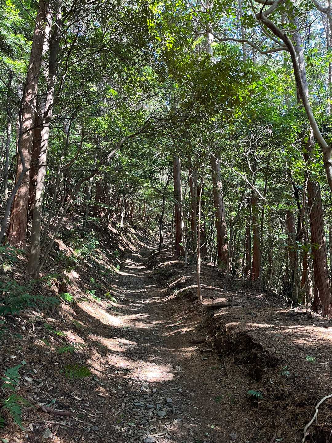 間場登山口-石巻山 往復コースの写真