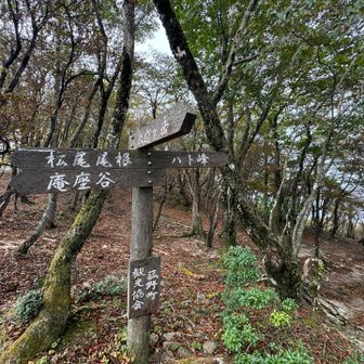 羽鳥峰へ