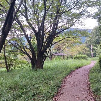 やすらぎの森　朝日峠展望公園