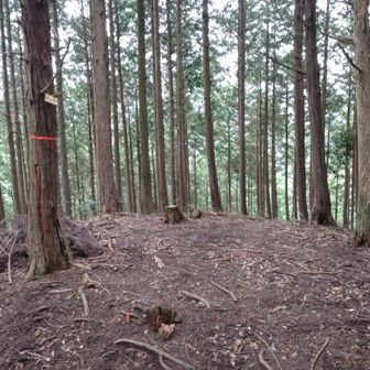 京王山から殆ど高低差なく歩けます。
見所はありませんが…