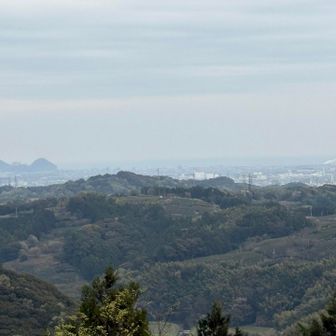 明日、焼津新港周辺は交通規制入ります。箱根選手、多数来場ですよ