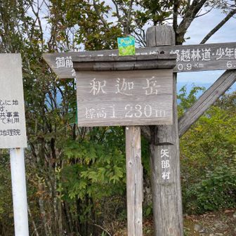 釈迦岳まで戻ってきました
御前岳から釈迦岳の縦走ヘタレましたがpureで元気を取り戻しました