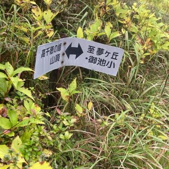 L字型の看板