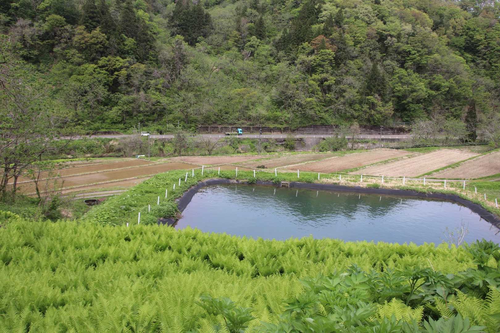 溜池かな？先に道が見える
麓まで戻ってまいりました♪
