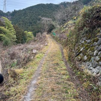 最初は緩やかですが、登山道に入ると急登です