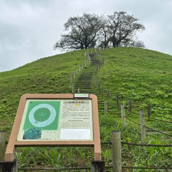 丸墓山の背面♪