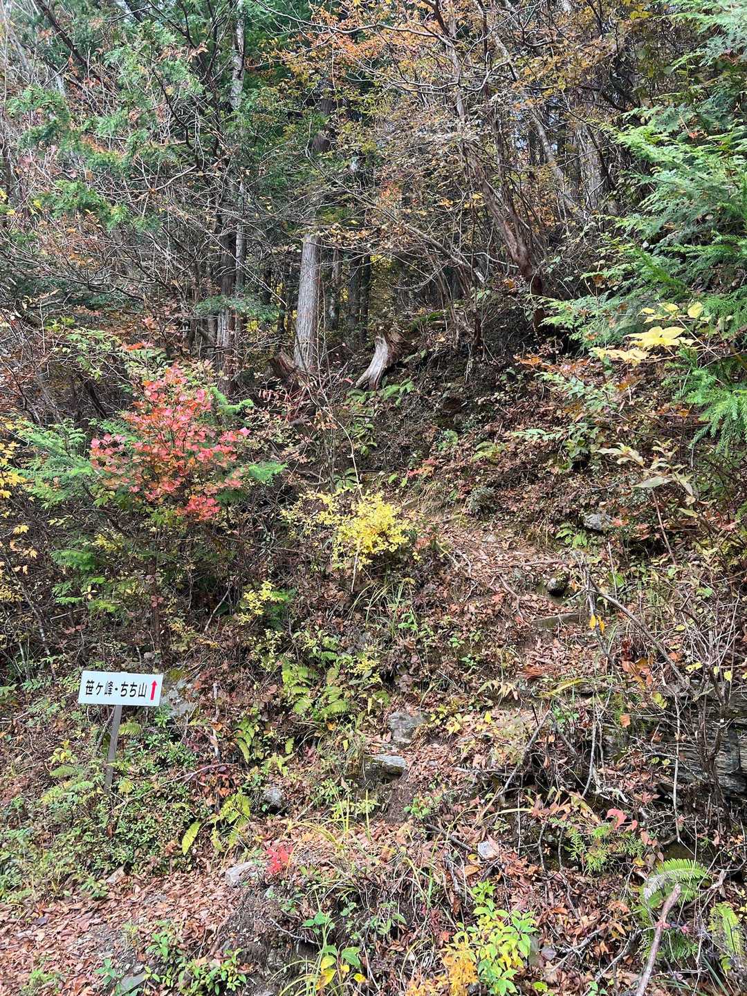 大永山トンネル南口から