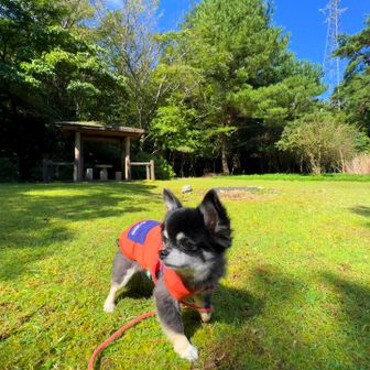 婆羅尾峠に着いた！

前回はココから歩いたよ
ココからは前と同じルートを歩く🚶‍♀️
⬇️2023.1.9のレポ
https://yamap.com/activities/21924065

※ ココからは 殆ど林道？作業道⁇で
　眺望なく面白みもないから写真なし🙏
　ご興味ある方は過去レポを参照して下さい
