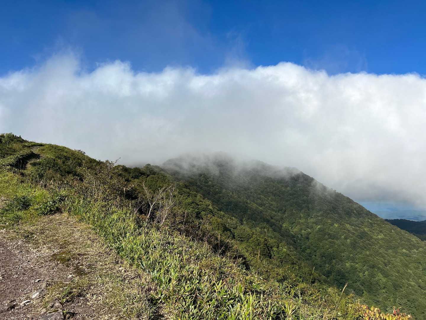 上蒜山も（´-`）.｡oO
これなら意味ないと下山
でも良い景色見れて良かったです✨