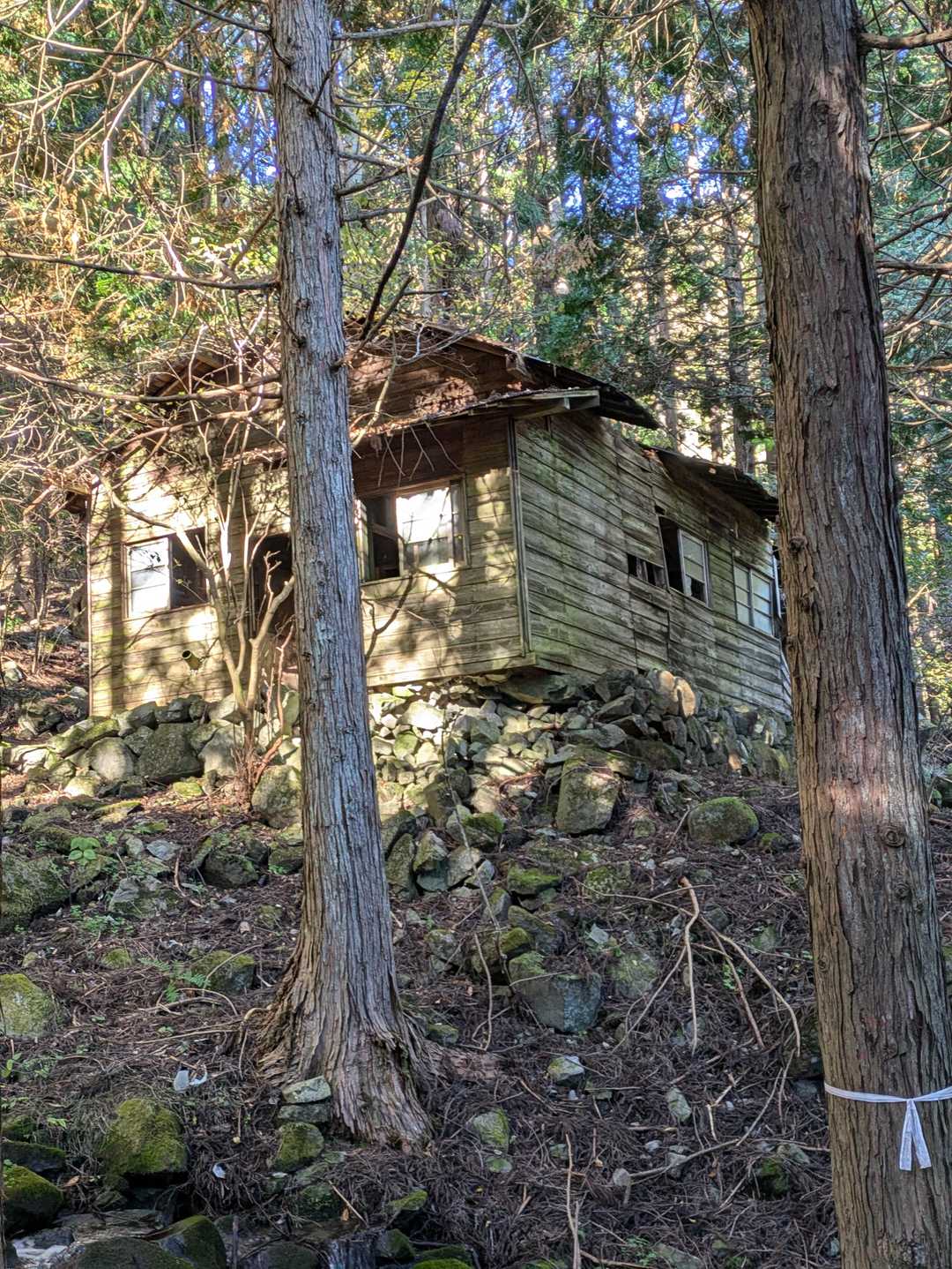 廃墟のような建物がありました。誰か住んでいたらスミマセン😅