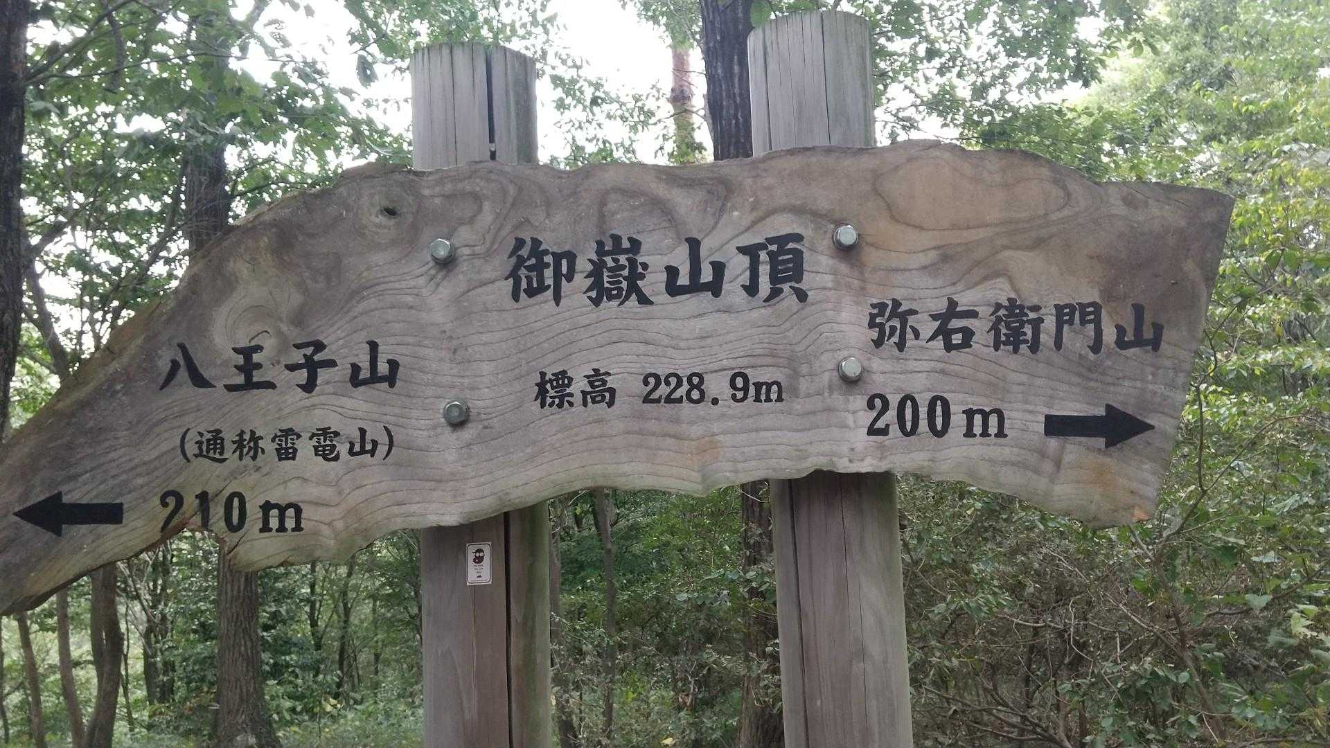 鹿田山 往復コースの写真