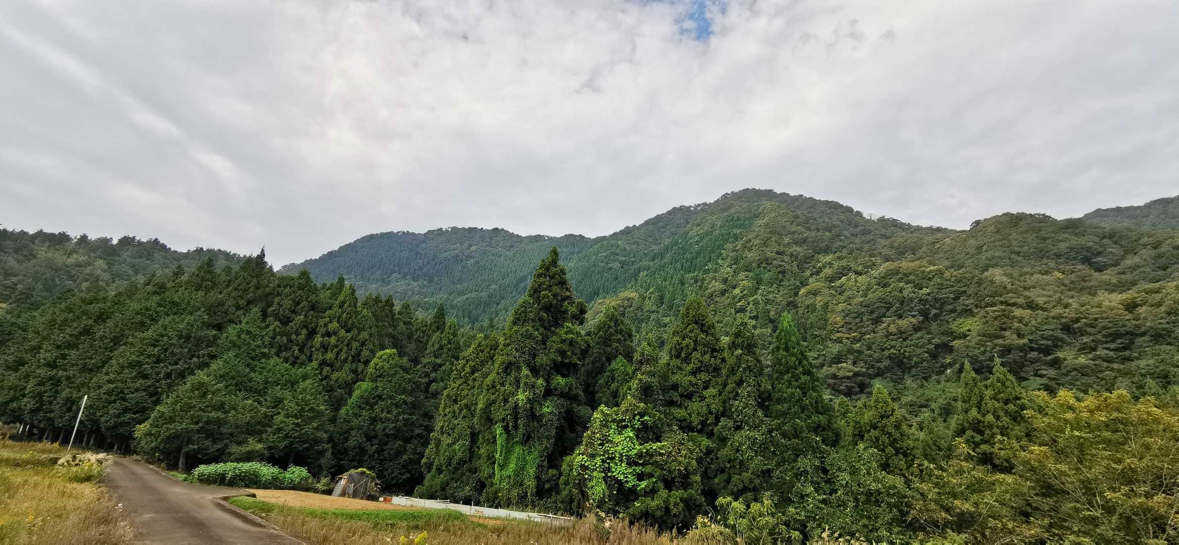 下山してから、改めて眺めるのもいいですね⛰