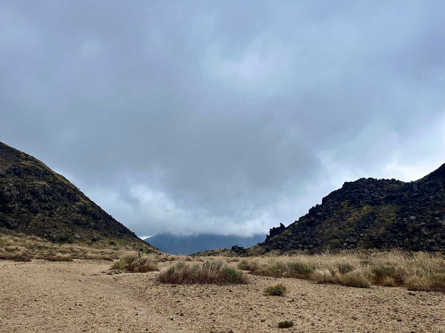 あっちの大船山もガスの中です😶‍🌫️