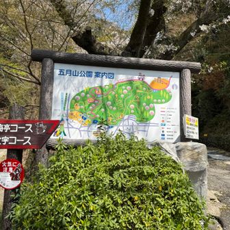 ➡️望波亭コースで登り
⬅️大文字コースで下山しました。