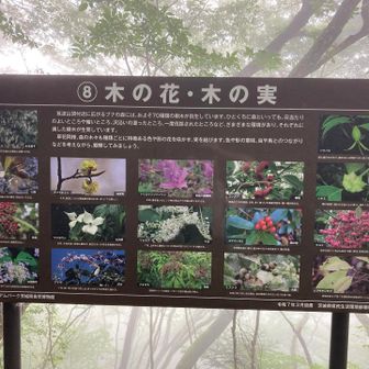 こちらの設置は昨年ですね