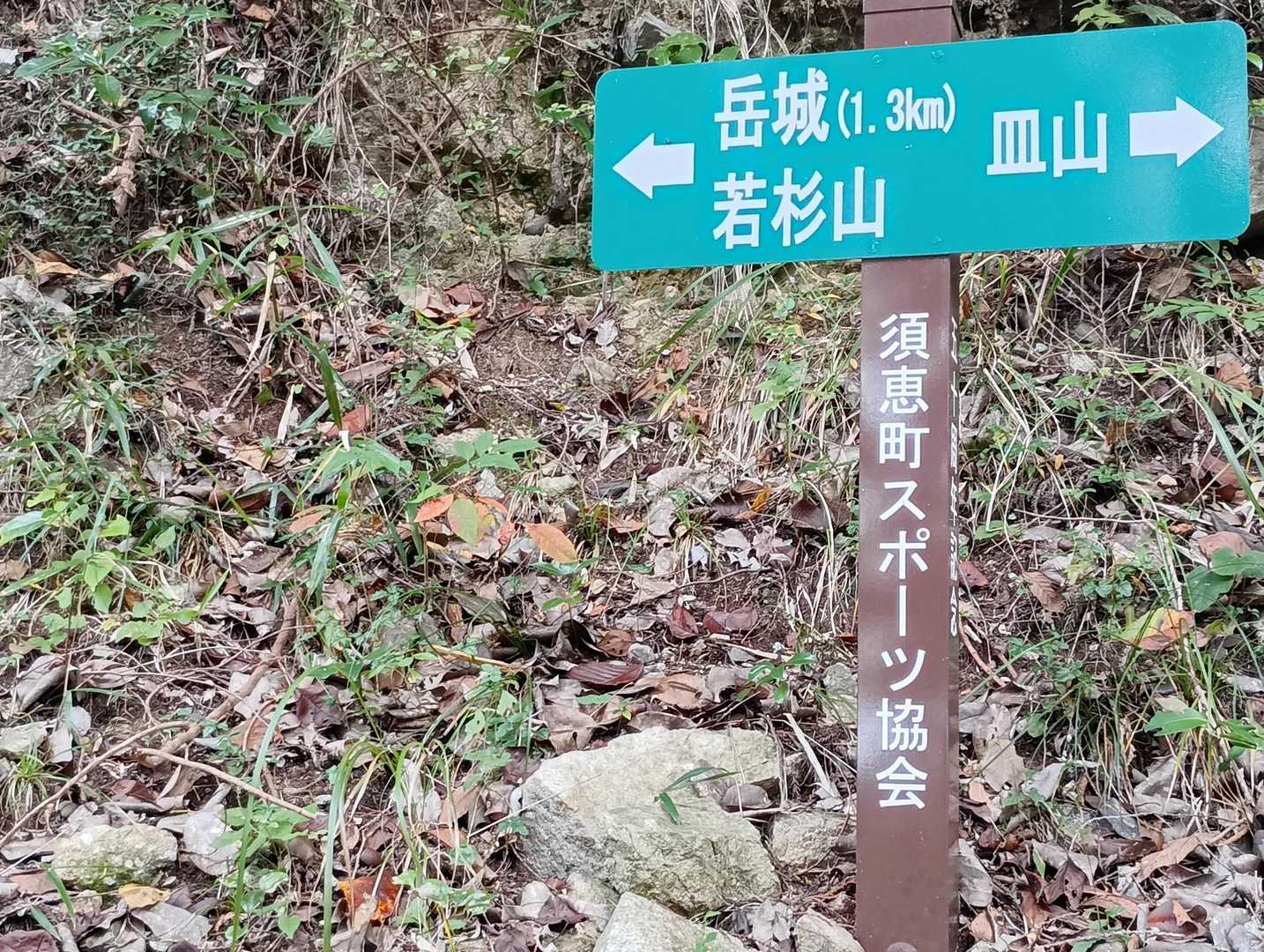 皿山公園バス停-岳城山 往復コースの写真