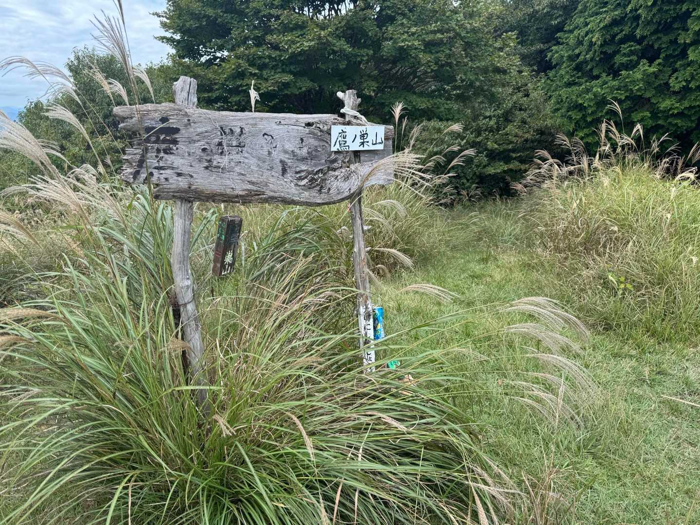 カンノ木山-鷹ノ巣山 縦走コースの写真