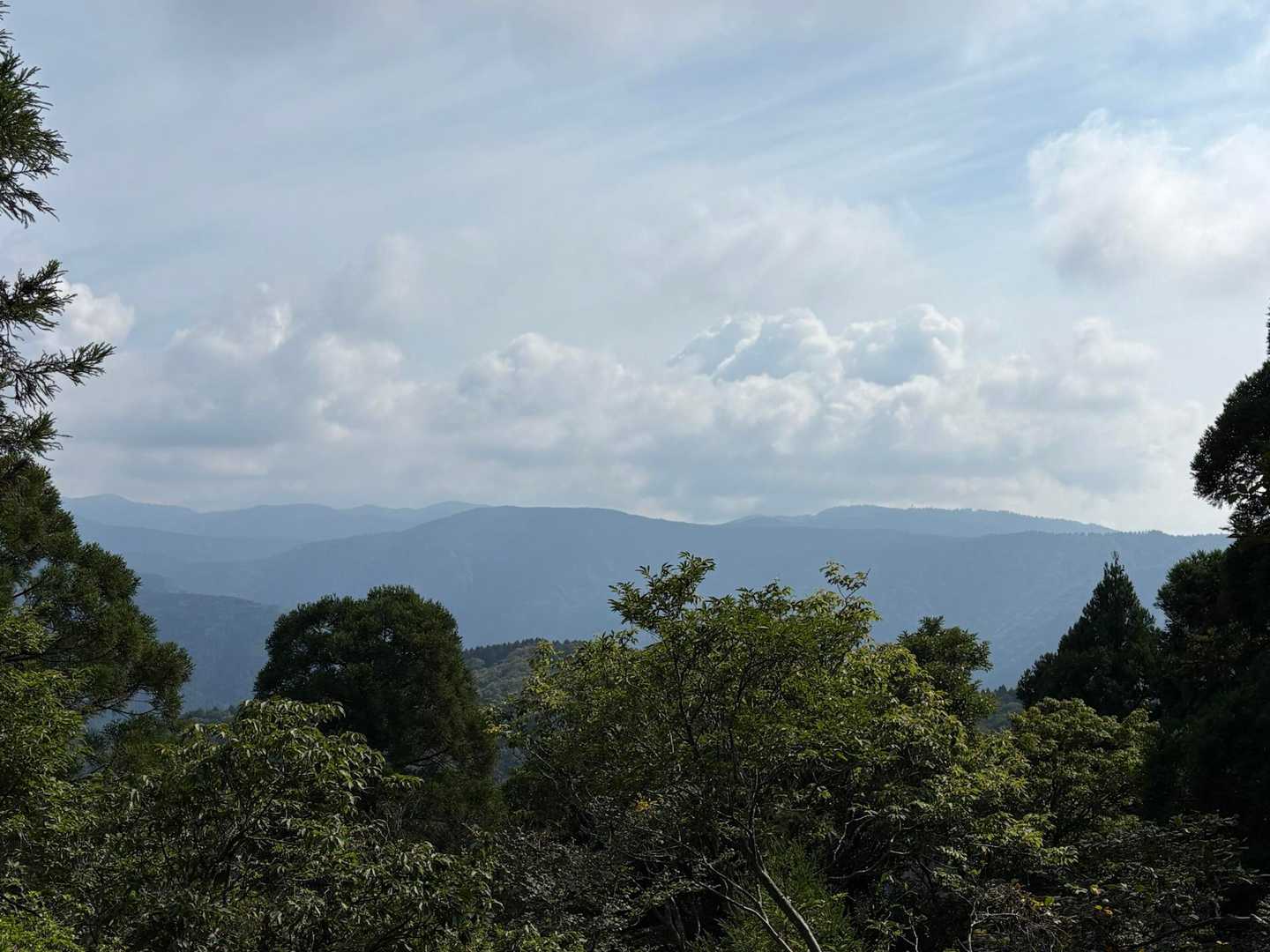 二の谷山 周回コースの写真