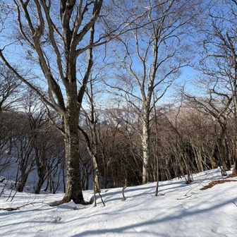 空気が美味しい