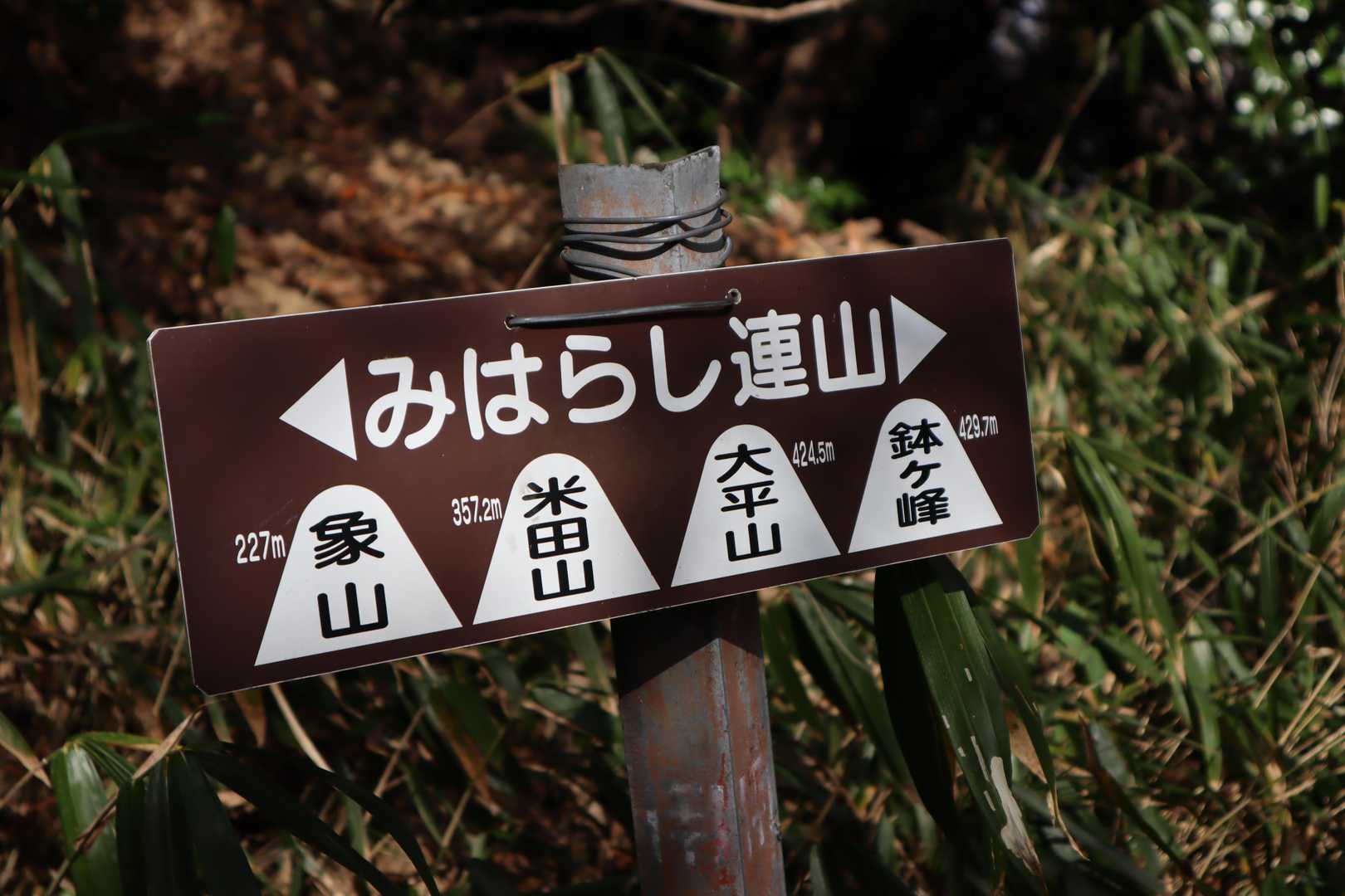 よく見る可愛いプレート⛰️⛰️⛰️⛰️