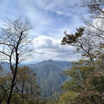 残念ながら富士さんは雲の中