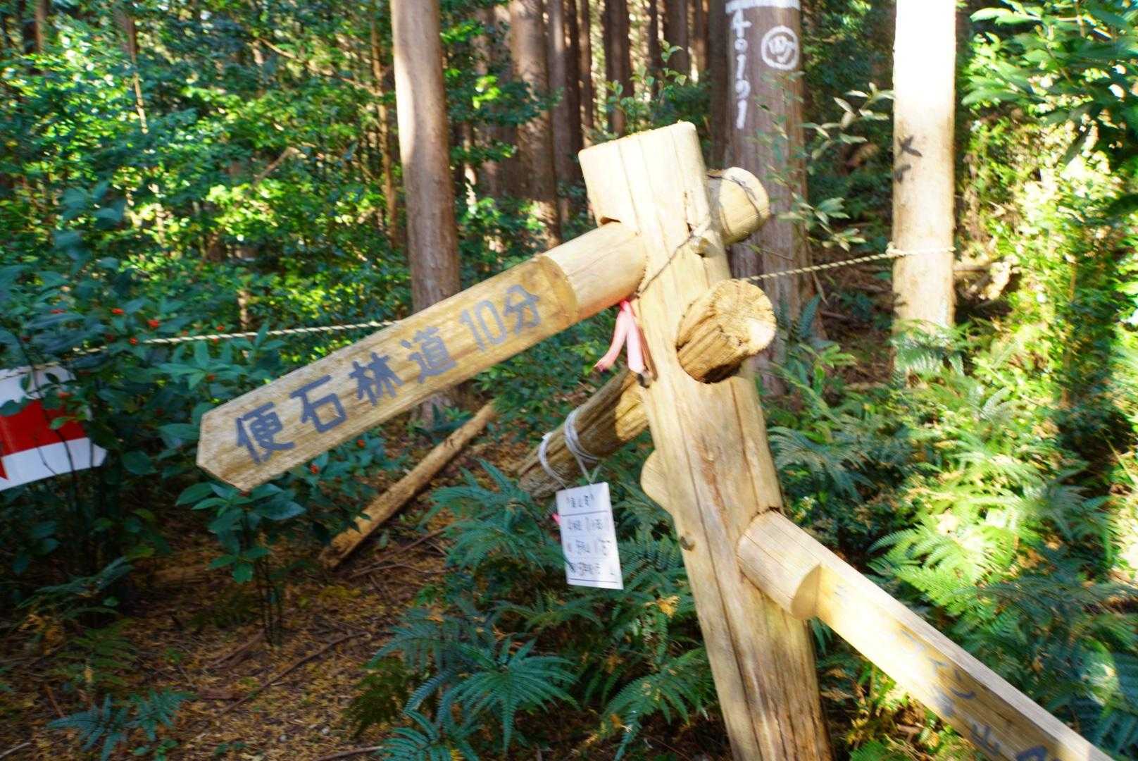 看板もあり、とても整備された登山道です😃