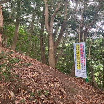 周回するための下山コースが通行止め⁉️😨
9月中旬頃からとは微妙なタイミング😅
確認の電話してみると今日のところは大丈夫だった♪
安心してまずは大平山へ向かう