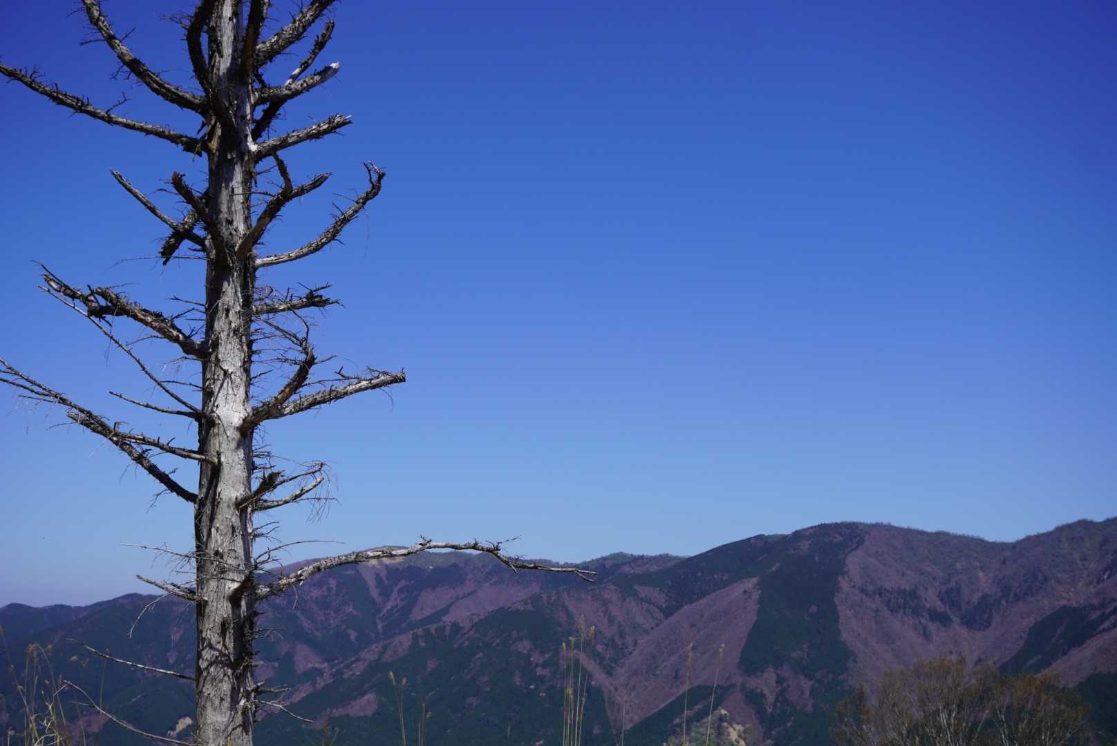 奥海越-日名倉山 往復コースの写真