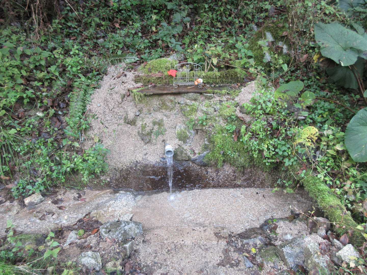 金剛の水