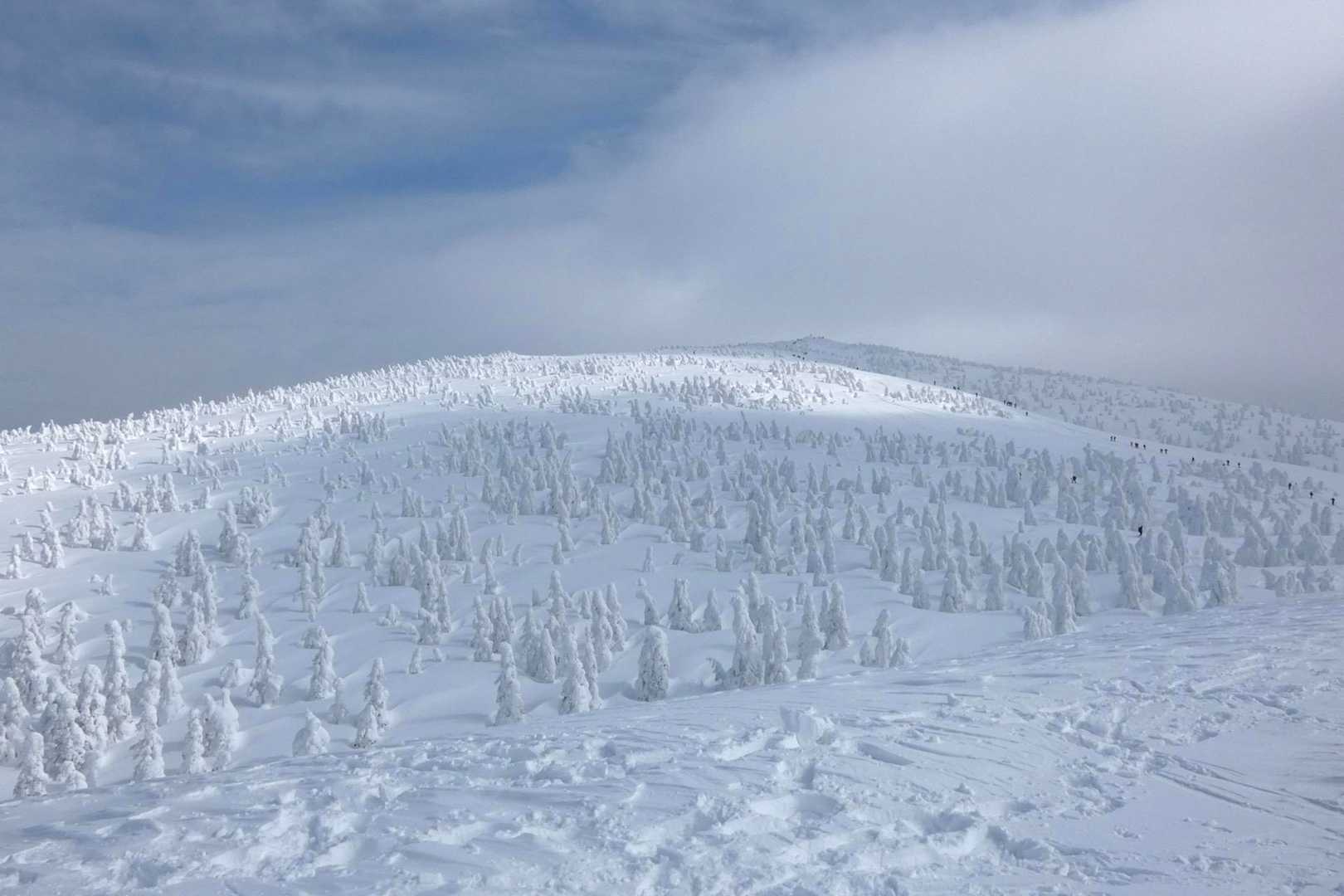 カバー写真

もうちょっとしたら雲取れそうだねって事で...