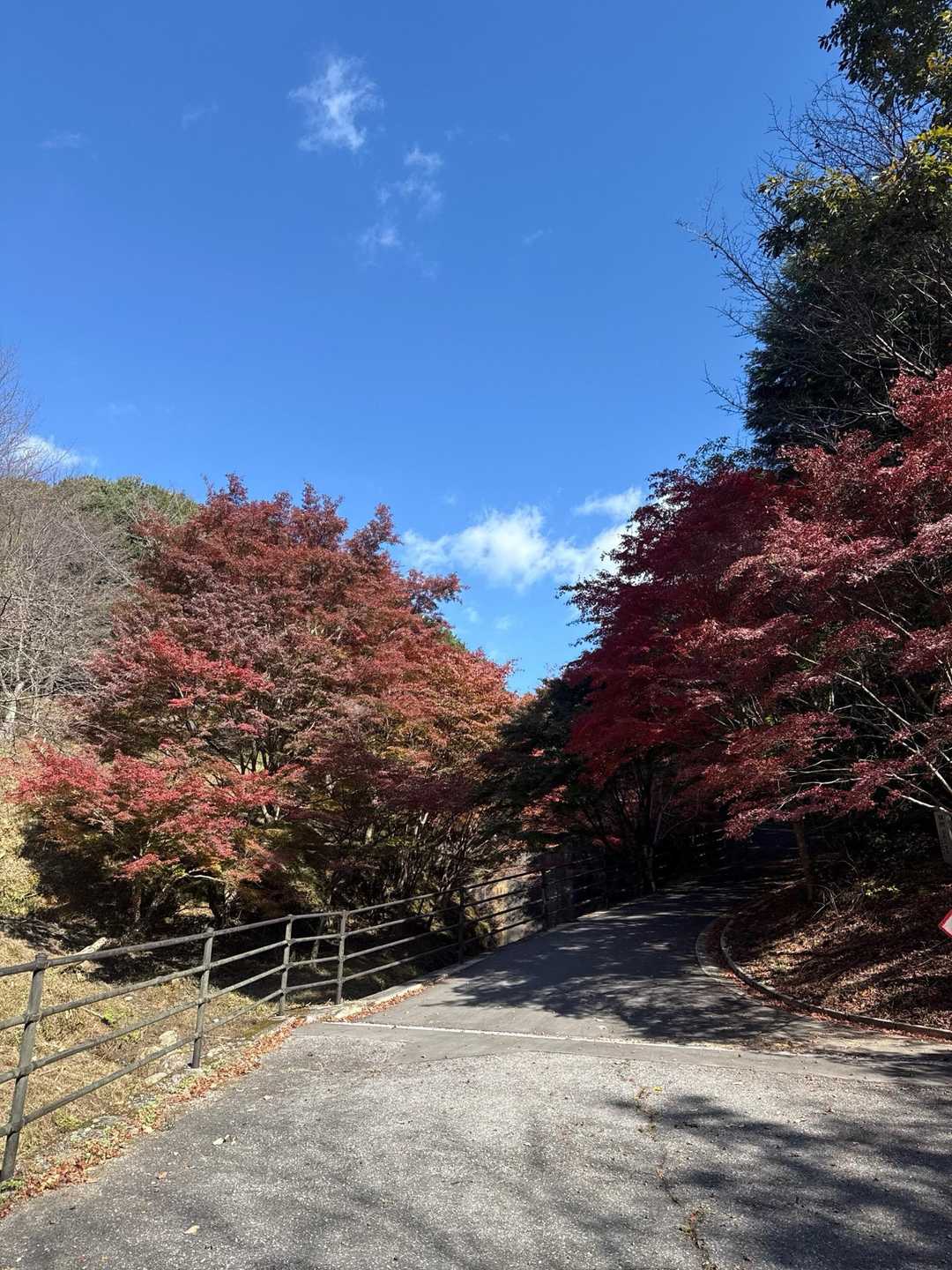 しばらく舗装路を歩きます
