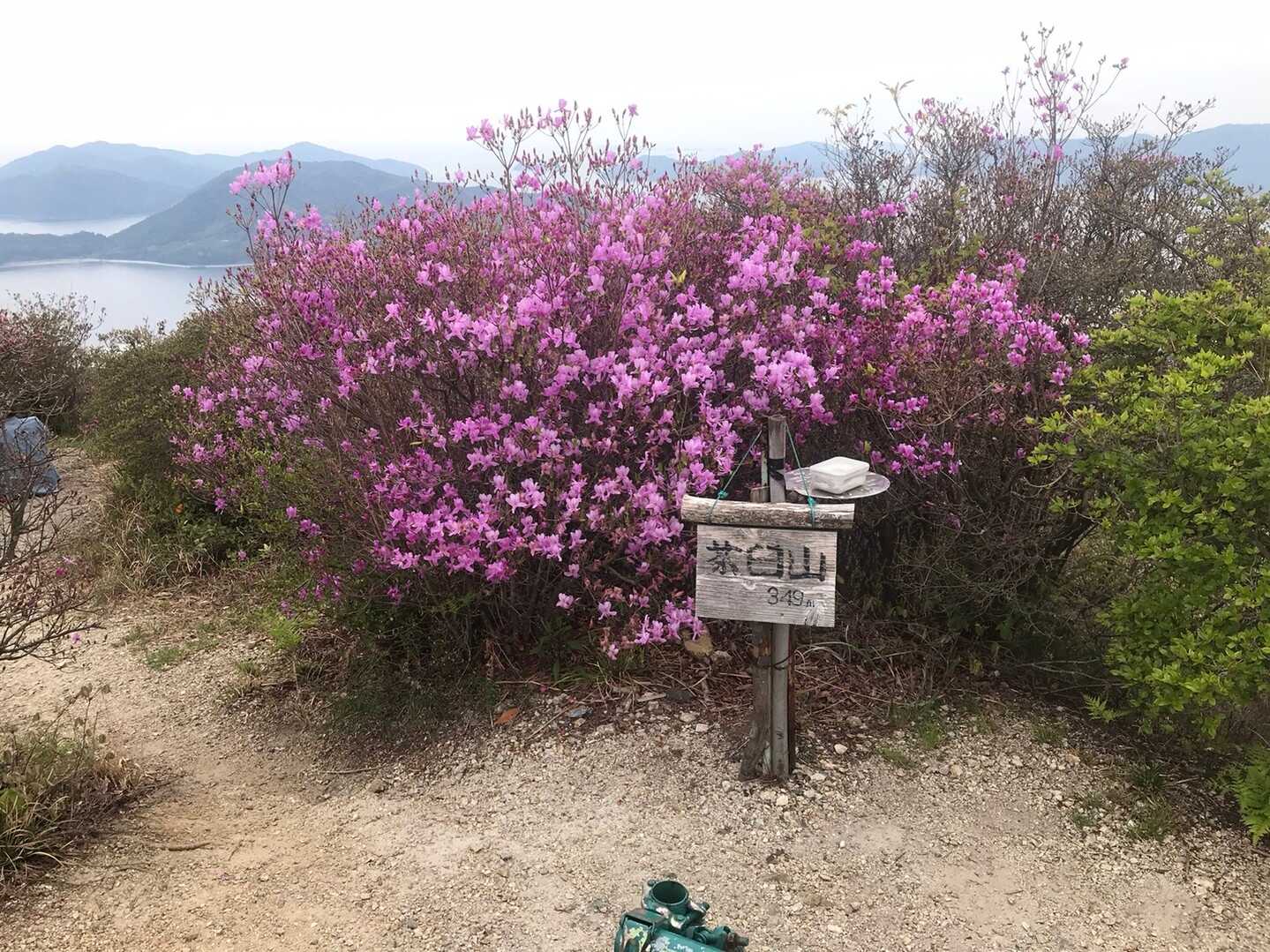 茶臼山の写真
