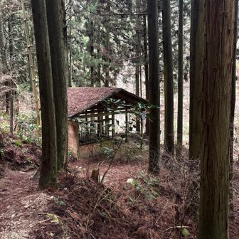 東屋までに下ってきた💨