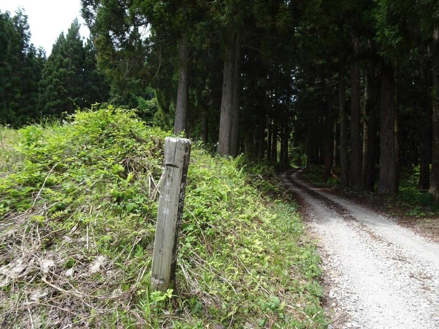 駐車場に2台の車がありました。スタートします。