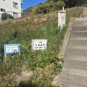 今日はこちらから登る😀