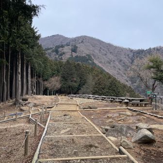 10年ぐらい前ここでおにぎり転がして食べそびれたのよね〜
通るたびに思い出す🍙