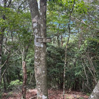 船峯山山頂。