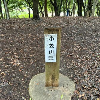 小笠山