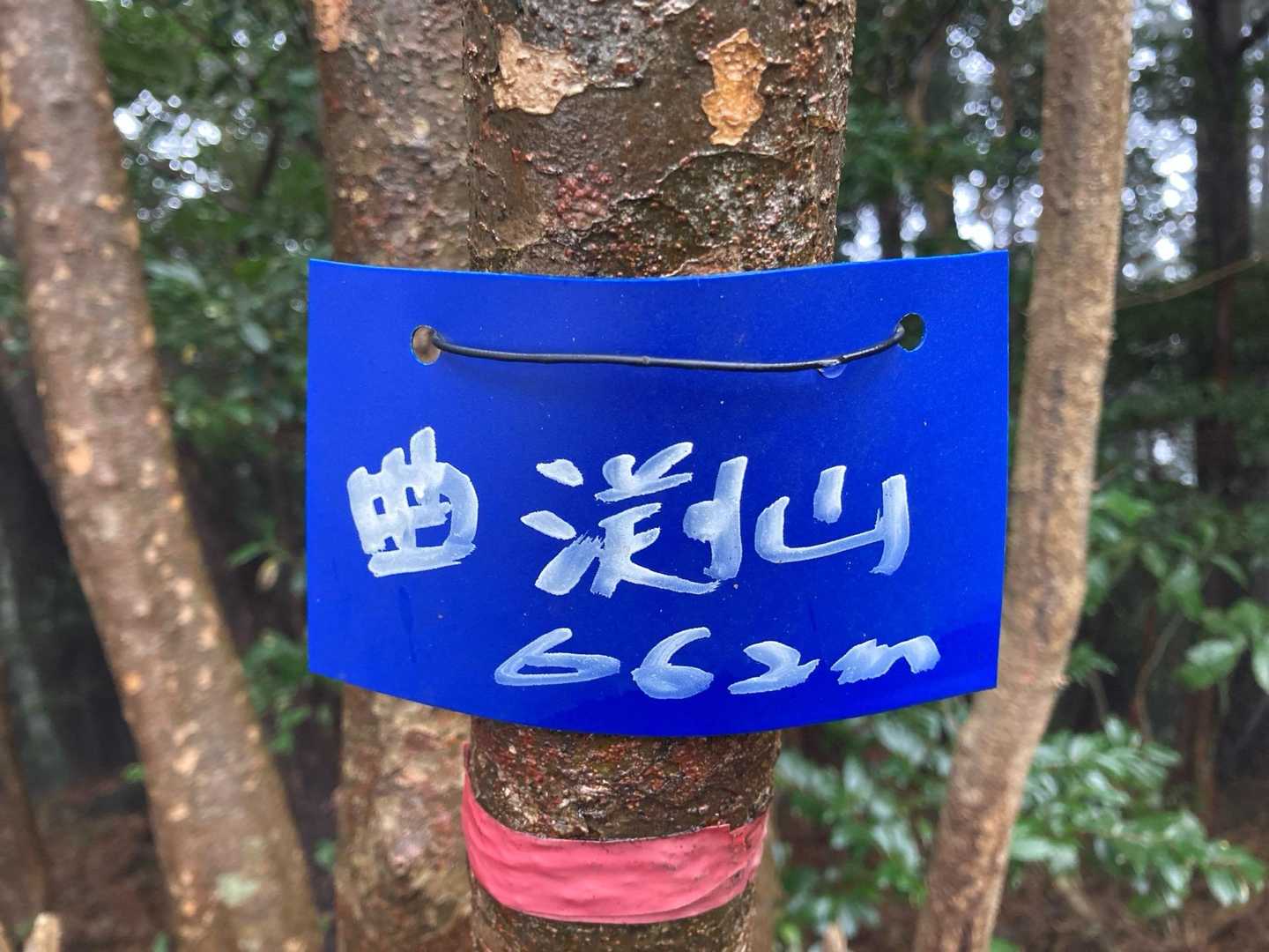山頂５つ目
曲渕山⛰️