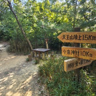 分岐箇所、ベンチ多数あり😊