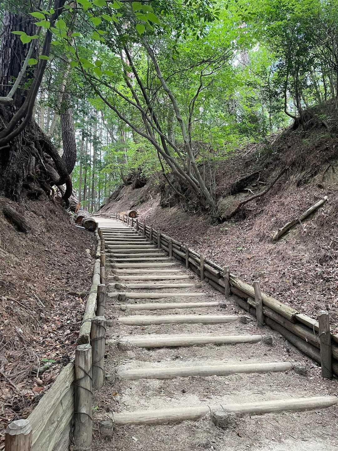 安定ですね