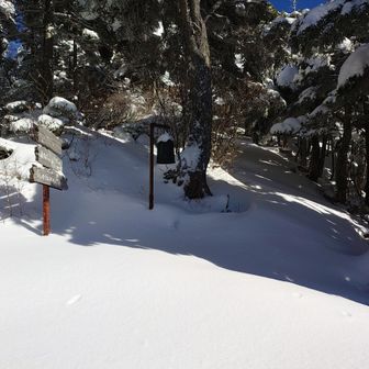 残念ながらここで折り返し、快晴、無風で1月とは思えないポカポカ陽気