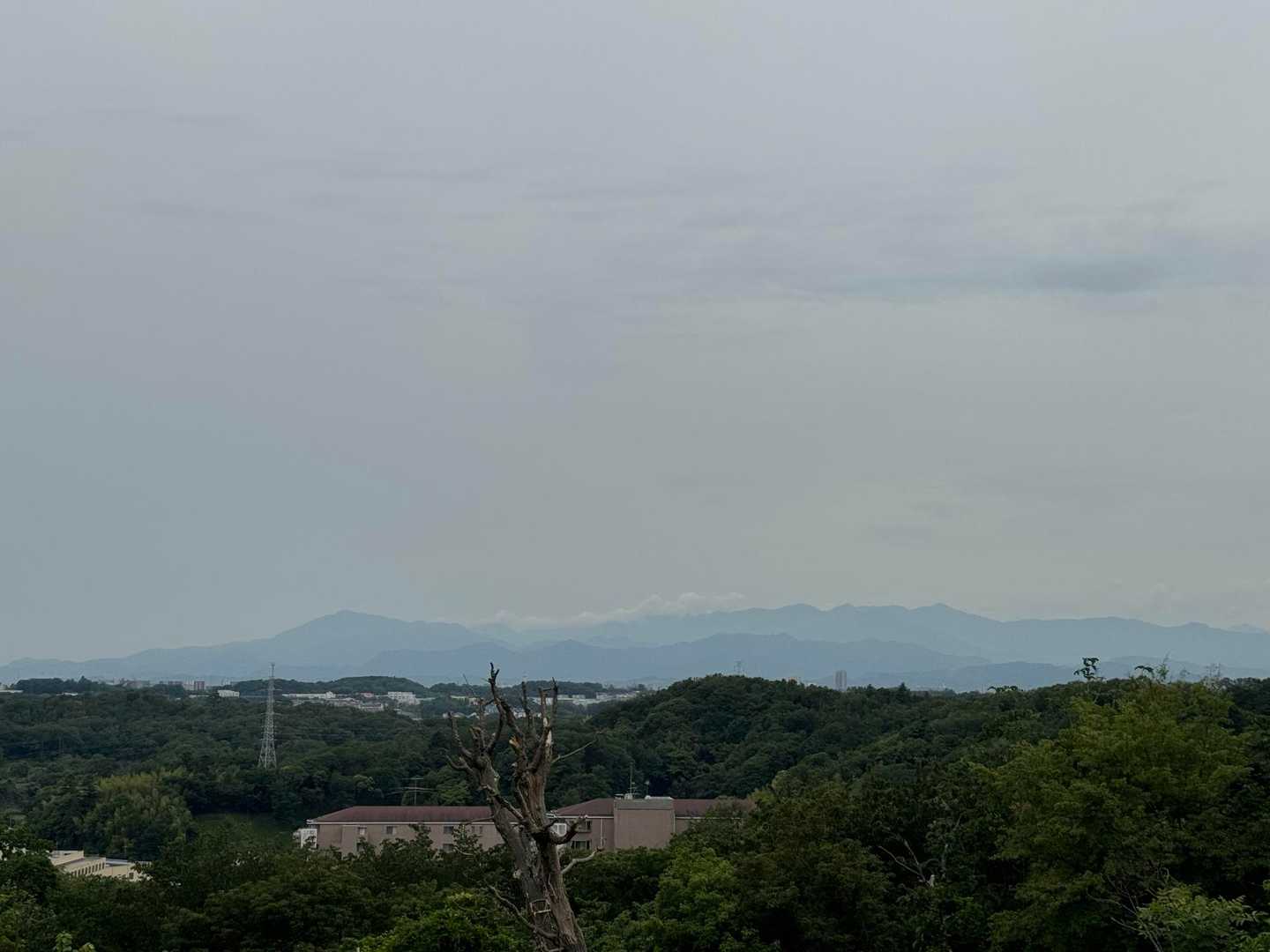 丹沢方面。やっぱり来るなら冬だな！