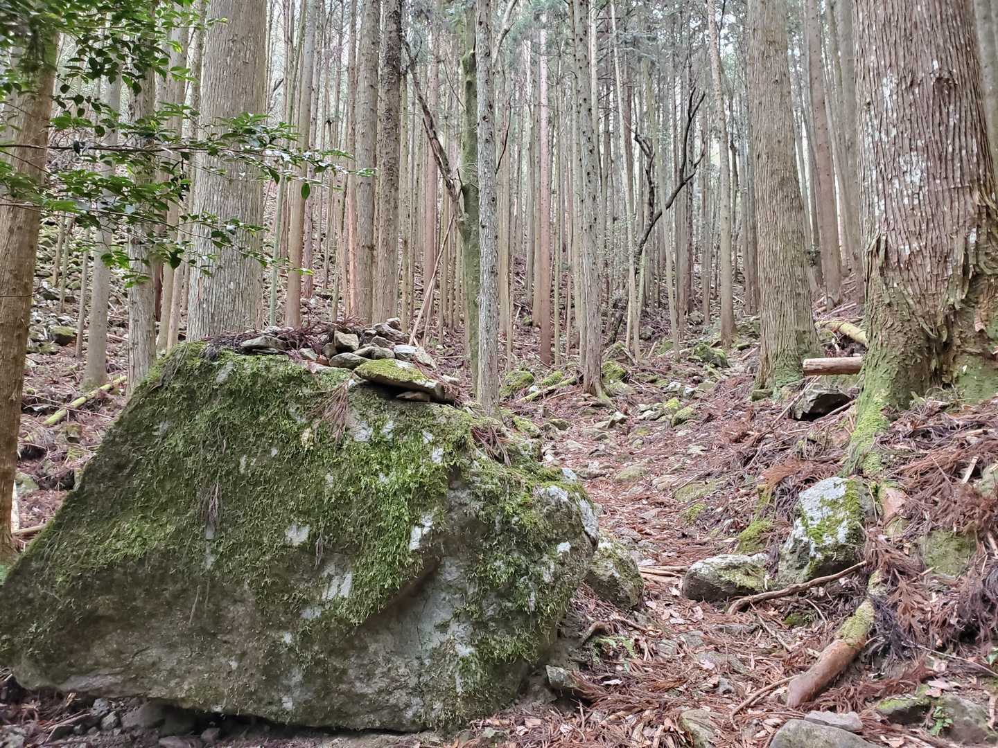 大きな岩が…、ずっとここにあるのでしょうね😃