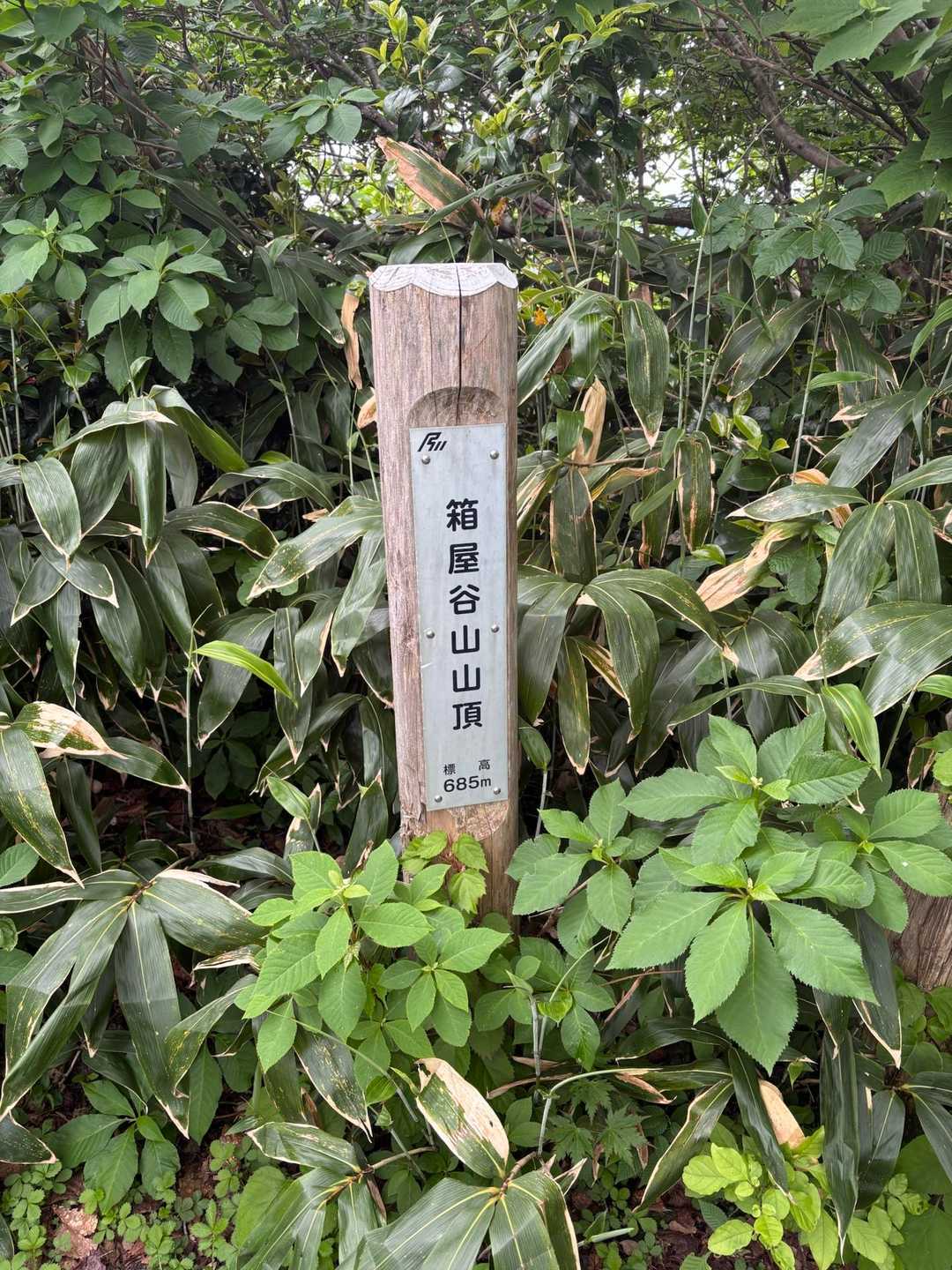 箱屋谷山到着！