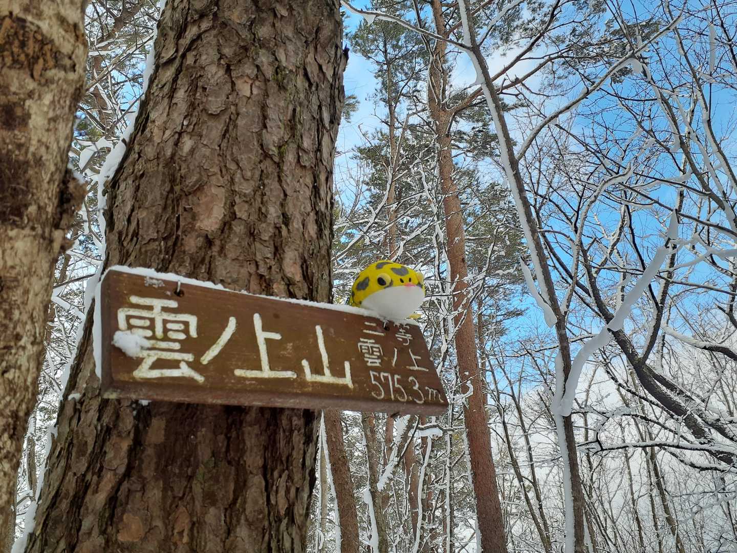 晴れてくれー‼️っと叫んで歩いていたら晴れました😯