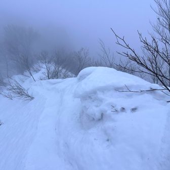 去年は立派な雪庇があったけど、今日はイマイチ