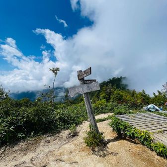 西遠見、大遠見、中遠見、そしてやっと小遠見山。樹林帯は景色も見えず灼熱地獄🥵、消耗しました。

途中で某YouTuberにすれ違って背後から声かけたら今日撮影してるからお楽しみに〜と爽やかに過ぎていきました。