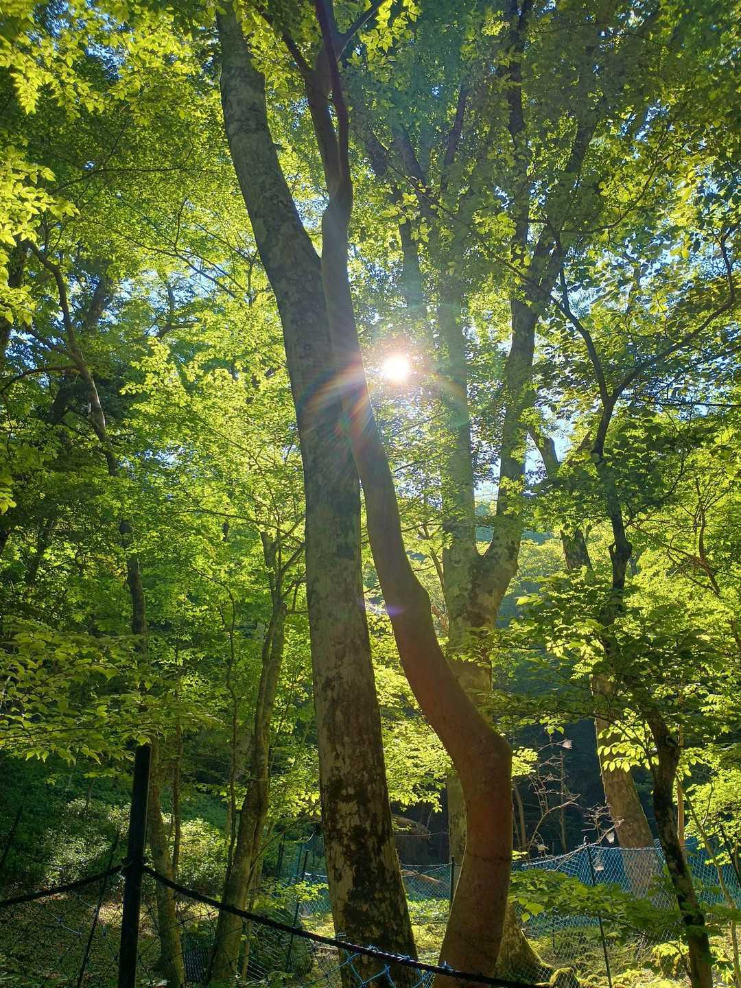 気持ちいい💛💚